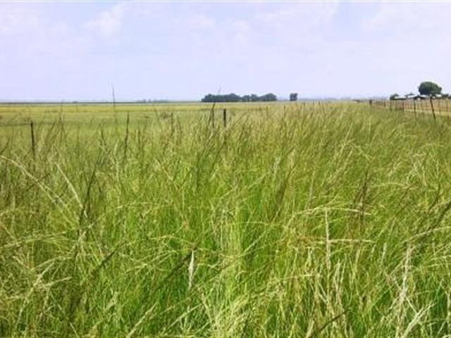 Commercial Property for Sale in Bloemdal Free State
